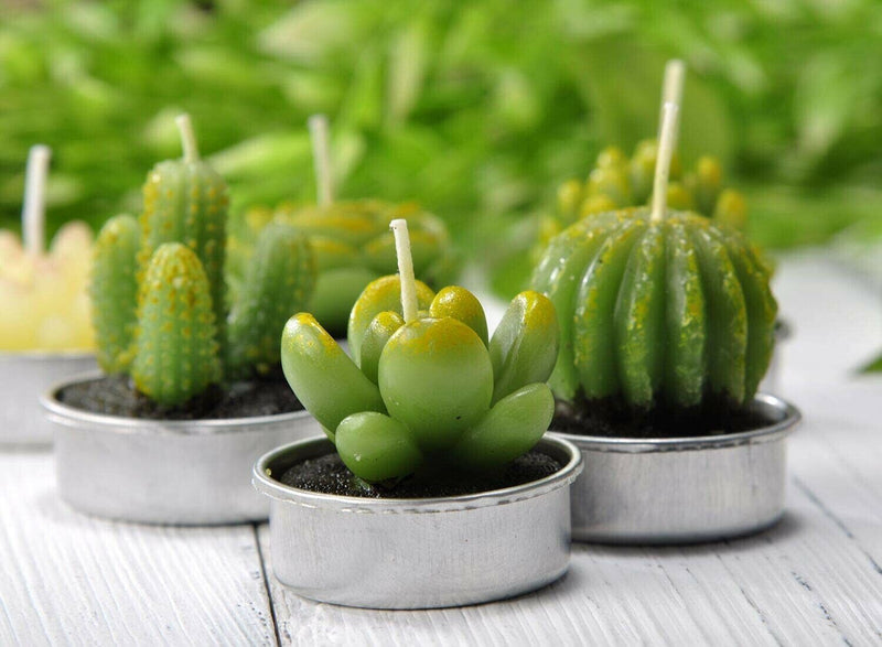 Scented Candles Cactus Tealight Smokeless Handmade Cute Mini Plants Gift Set