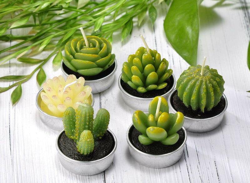 Scented Candles Cactus Tealight Smokeless Handmade Cute Mini Plants Gift Set