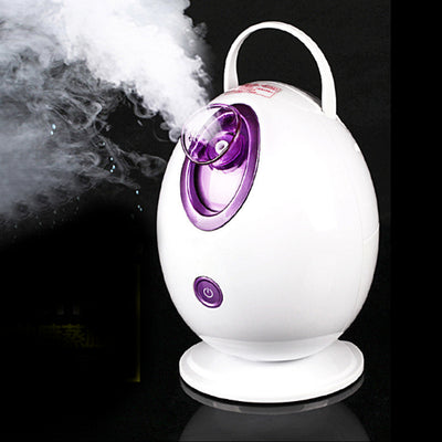 Electric Facial Steamer Spa Steam Sprayer Nano Mist Cleaner Steaming Machine Skin Care