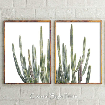 Cactus Print, Printable Wall Art, Modern Home Decor, Set Of 2 Prints, Desert Wall Art, Botanical Print Set, Cactus Wall Art Prints, Boho