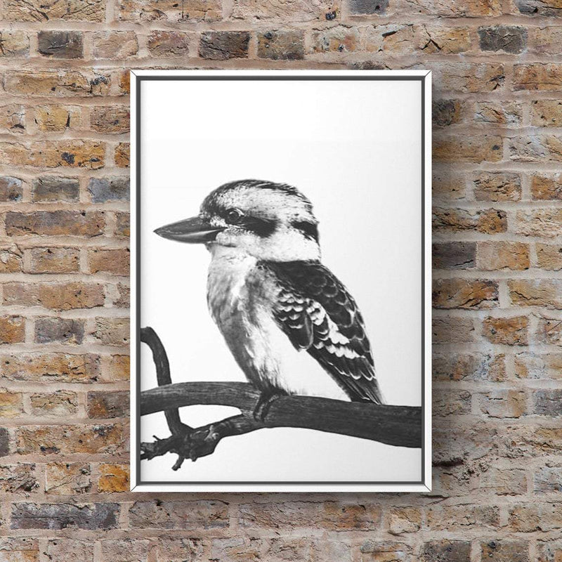 Kookaburra print, digital download, black and white photo, wildlife print, Kookaburra poster, printable wall art, instant download