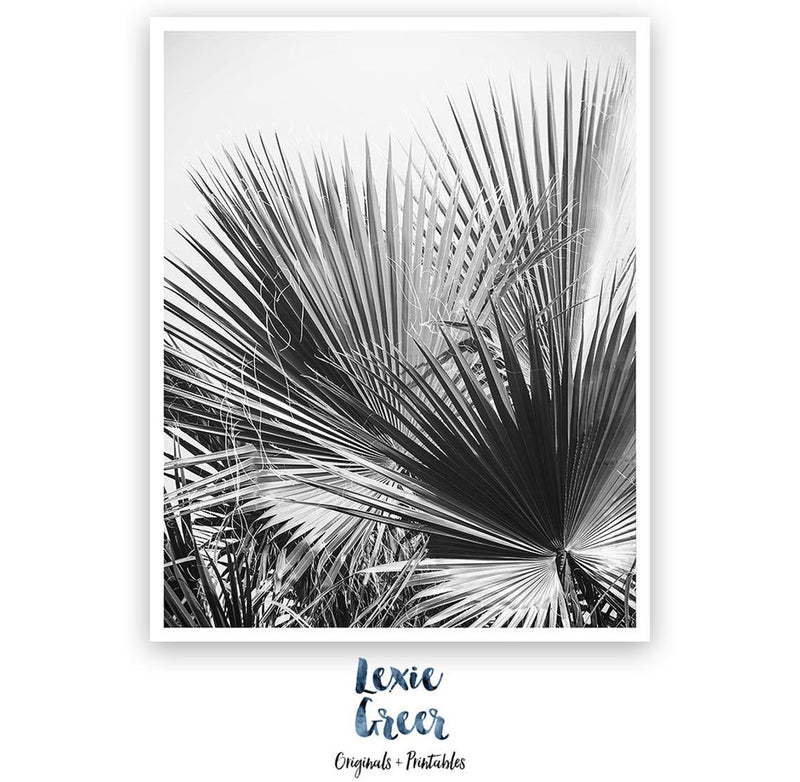 Black and White Palm Tree Print, Tropical Print, Palm Tree Print, Palm Leaves, Fan Palm, Black and White Photo, Leaves Print, Printable Art