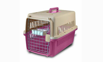PaWz Pet Dog Cat Carrier Portable Tote Crate Kennel Travel Carry Bag Airline
